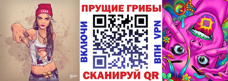 Купить Одинцово Псилоцибиновые грибы Magic Shrooms